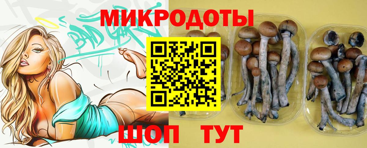 Галлюциногенные грибы мицелий  Вход с VPN  Кумертау 